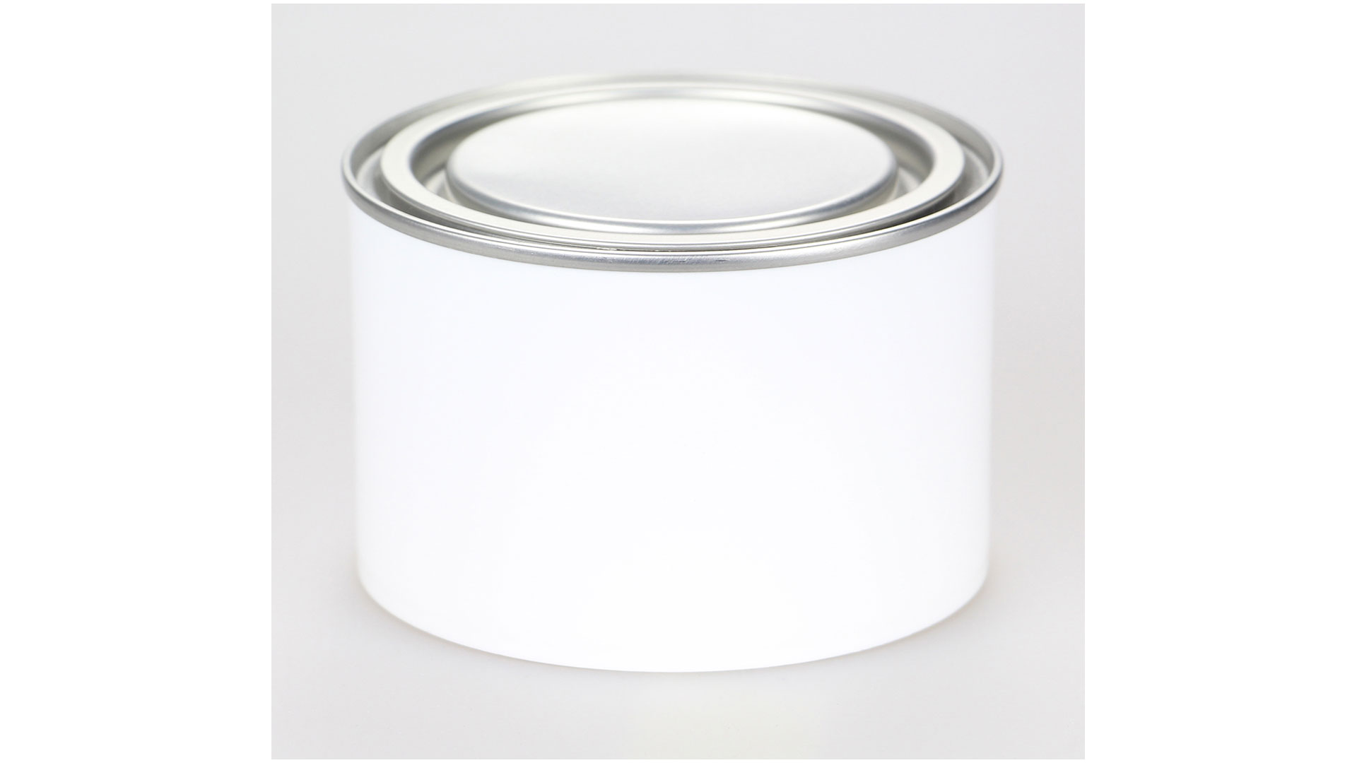 Mipa Kunststoff-Leerdose 0,5l mit Deckel (1 Stk.)